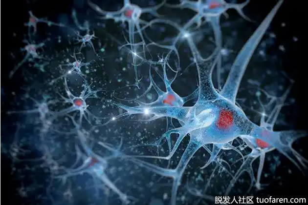 适量喝啤酒的 9 大好处