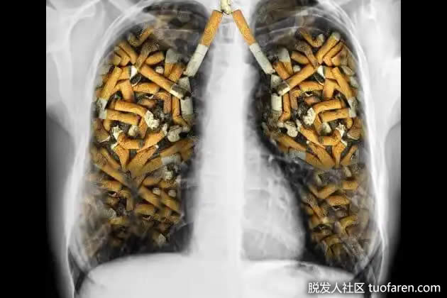 每天吃西红柿的 7 个理由