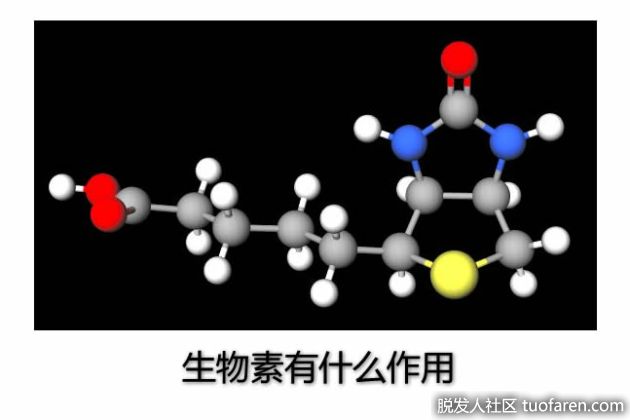 生物素的10大作用及其副作用，对脱发有益