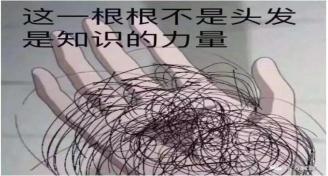 掉多少根头发才算脱发