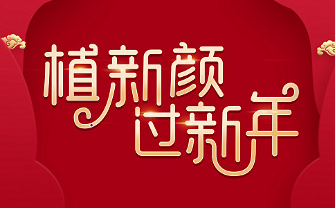 做头发种植哪里好