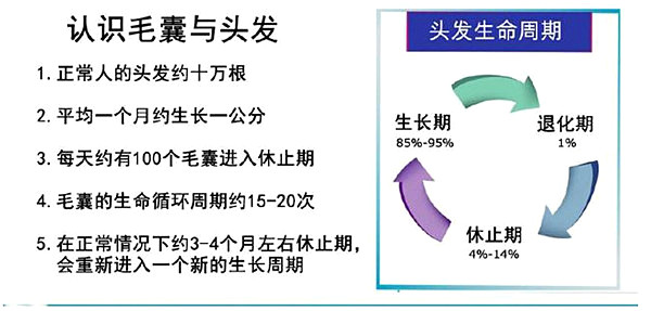 植发疑虑解析脱发植发莫担心