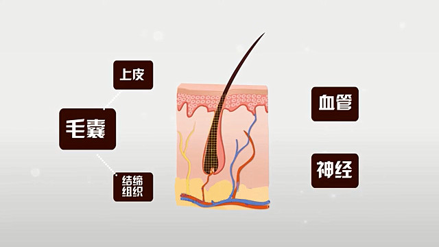 植发长出亮丽头发显得更清纯