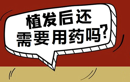 植发后还要继续用药吗