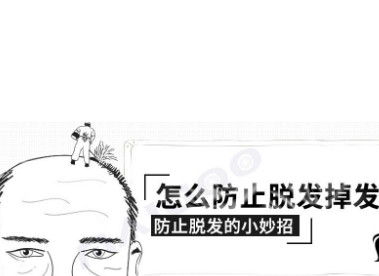 哪些好习惯可以预防脱发呢