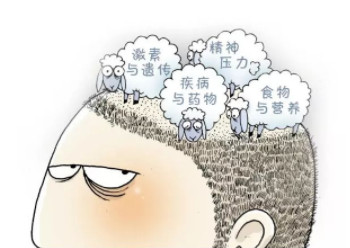 导致脱发的原因有哪些