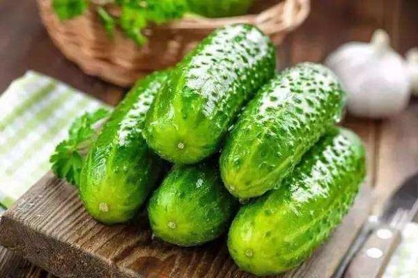 吃什么蔬菜对脱发好