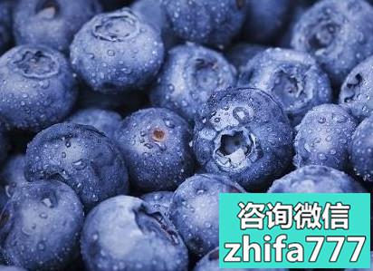防脱发的水果