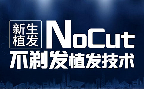 头发脱发植发选哪家