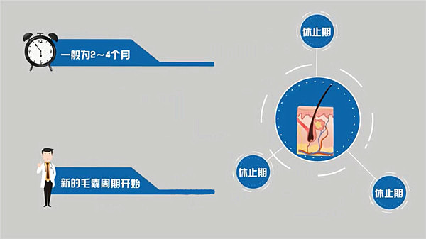 哪些因素能够导致物理性脱发？