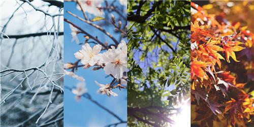 季节性脱发是怎么一回事