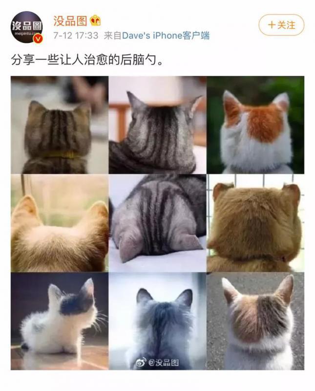 拯救发际线有多难？植发2000单位就够了！