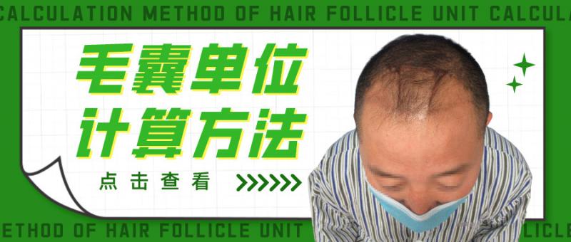 对号入座，快速计算你需要毛囊单位！