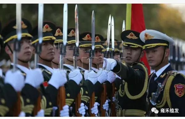 国旗班兵哥哥植发！3000单位9月变帅哥哥