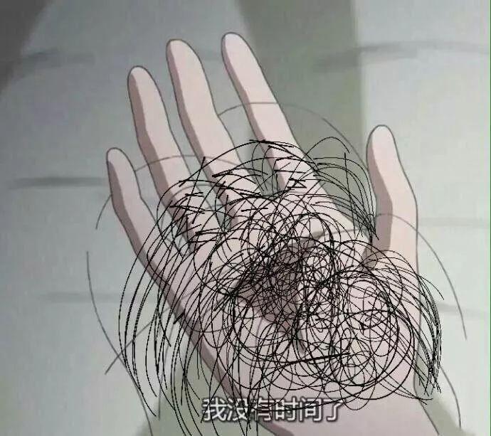 脱发原因是什么？脱发怎么办？植发多少钱？
