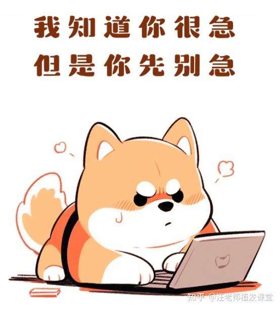 昆明去哪里植发靠谱？