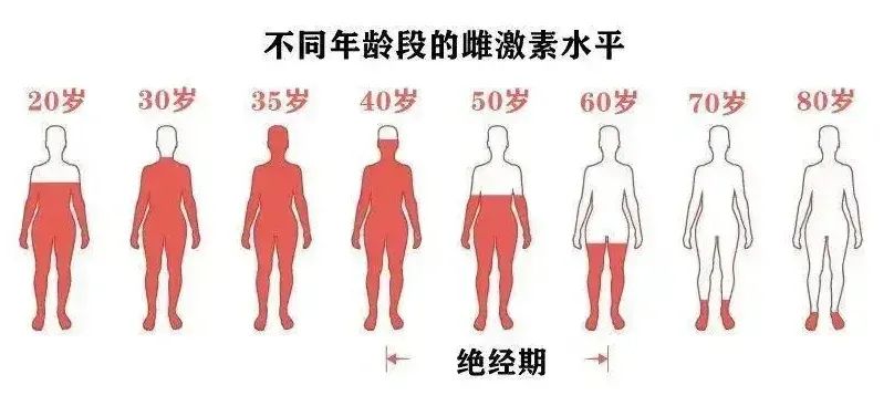 用螺内酯治脱如何发挥出最大效果？关键要看这几点！